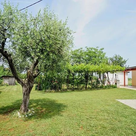 Mima Apartament